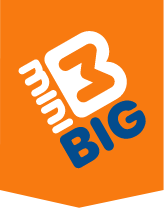Logo - Mini BIG